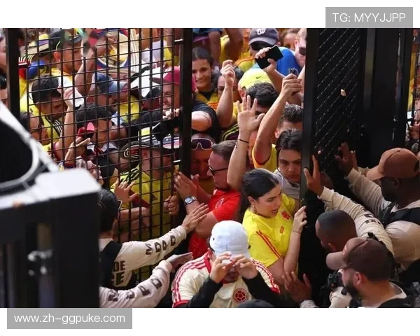 球迷冲入场内庆祝进球，赛后安保措施加强讨论